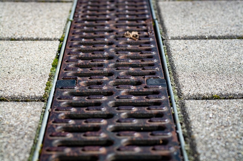 Gutter garden on a fence